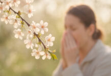 Kwitnące drzewo, w tle kichająca kobieta