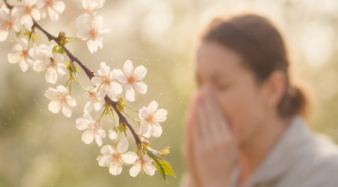 Kwitnące drzewo, w tle kichająca kobieta