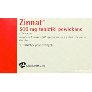 Zinnat tabletki powlekane 500mg opakowanie