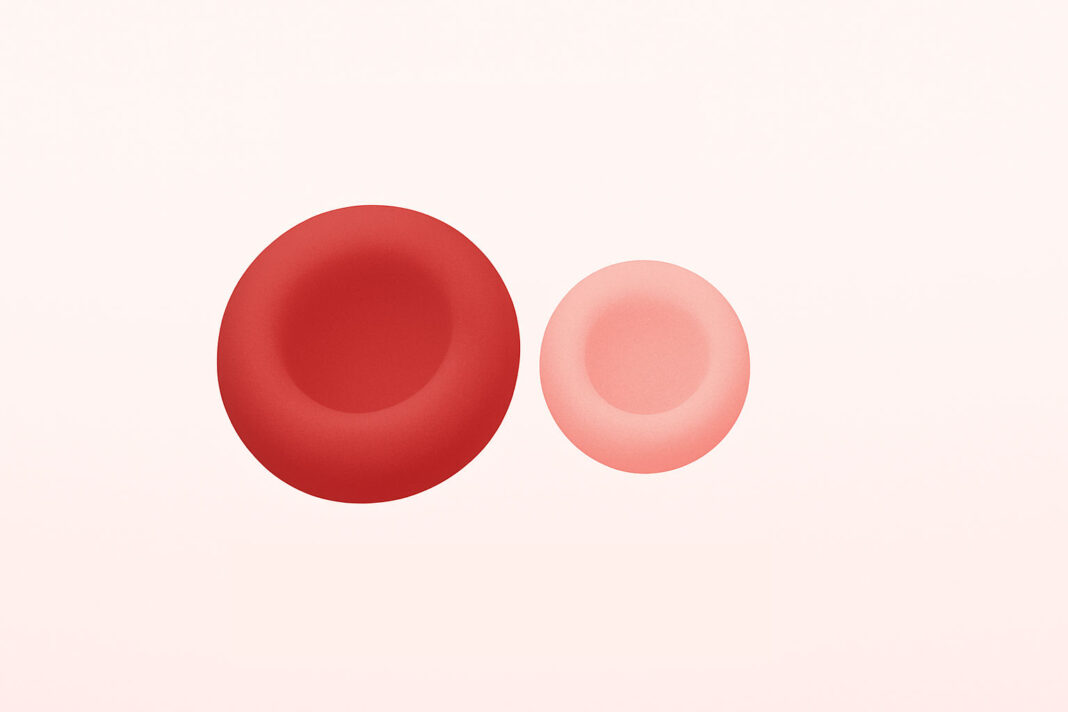 Ilustracja symbolizująca krwinki w anemii