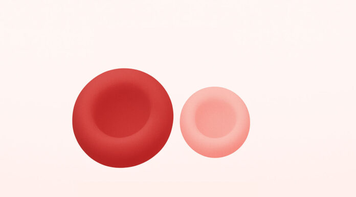 Ilustracja symbolizująca krwinki w anemii