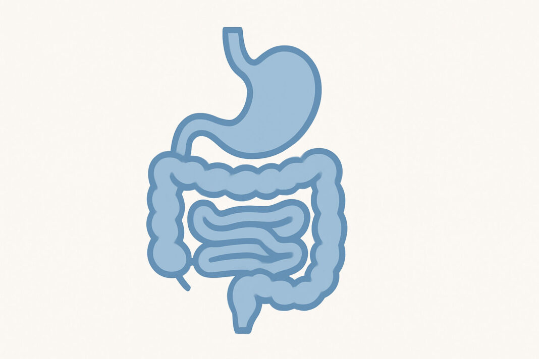 biegunka Ilustracja jelit w kontekście biegunki i rozwolnienia