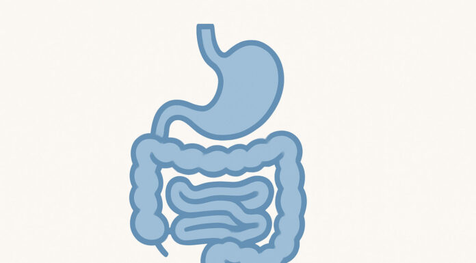 Biegunka – najczęstsze przyczyny i skuteczne leczenie Ilustracja jelit w kontekście biegunki i rozwolnienia