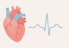 Ilustracja badania echa serca