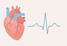 Ilustracja badania echa serca