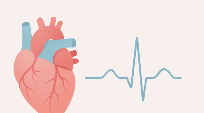 Ilustracja badania echa serca