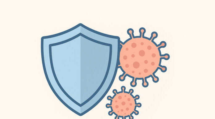 Opryszczka a wirus HPV – jak je rozpoznać i rozróżnić? Ilustracja odporności i wirusów opryszczki i HPV