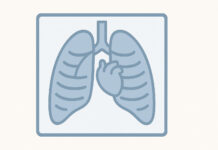 Ilustracja graficzna rtg klatki piersiowej i płuc