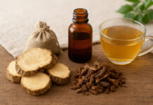 Tarczyca bajkalska – właściwości prozdrowotne Korzeń tarczycy bajkalskiej zmielony, w plastrach i przygotowany w formie wywaru na drewnianym stole