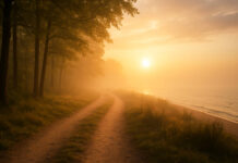 Wizualizacja ładu podczas spaceru w kontekście terapii EMDR