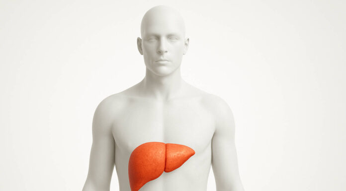 Ilustracja 3d człowieka z zaznaczoną wątrobą w kontekście marskości wątroby
