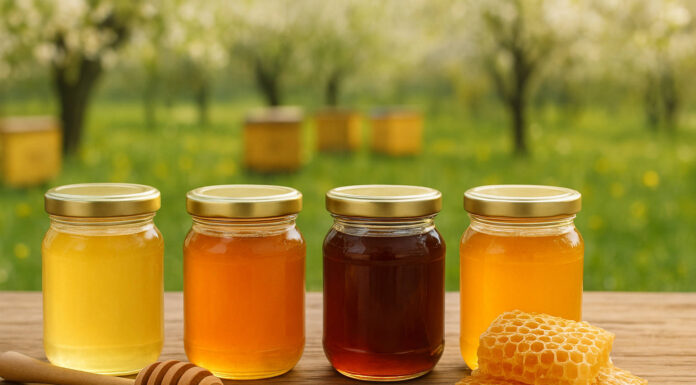 Różne rodzaje miodów na tle pasieki i sadu