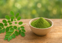 Moringa w formie liścia i proszku w miseczce, w tle wieś i natura