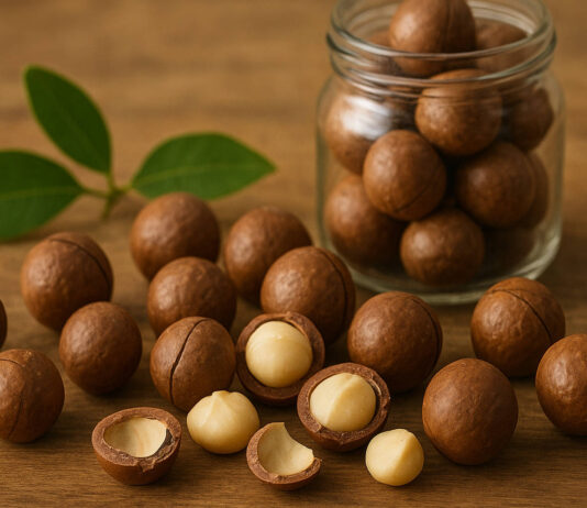 Orzechy macadamia – właściwości zdrowotne i zastosowanie Orzechy macadamia