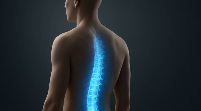 Ilustracja 3d sylwetki czlowieka z zaznaczonym kręgosłupem i jego lędźwiowo-krzyżową częścią