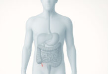 Ilustracja prezentująca anatomię człowieka i wskazany wyrostek robaczkowy