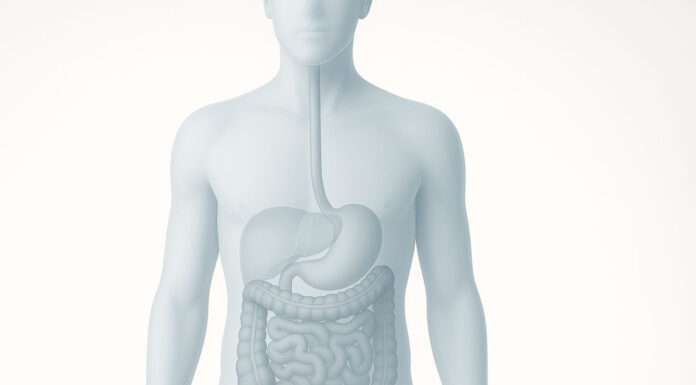 Ilustracja prezentująca anatomię człowieka i wskazany wyrostek robaczkowy