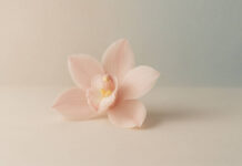 Kwiat symbolizujący delikatną równowagę kobiecej intymności w charakterze grzybicy pochwy