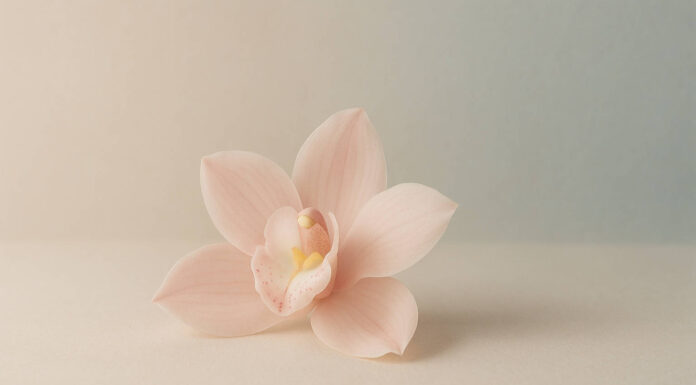 Kwiat symbolizujący delikatną równowagę kobiecej intymności w charakterze grzybicy pochwy