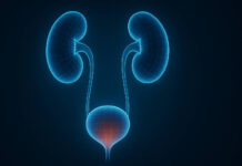 Ilustracja 3d pęcherza w kontekście infekcji