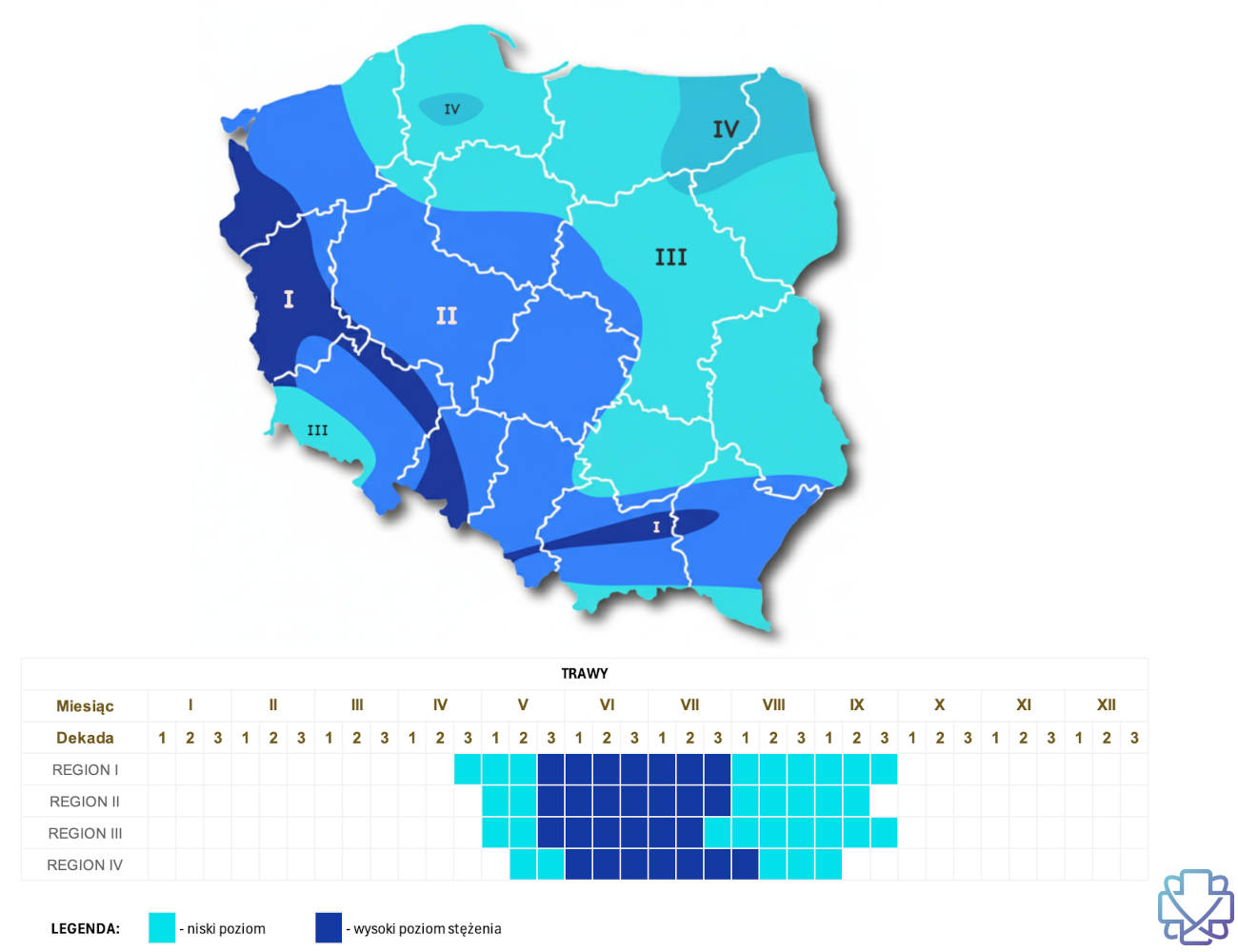 Kiedy pylą trawy - kalendarz pylenia traw z podziałem na regiony