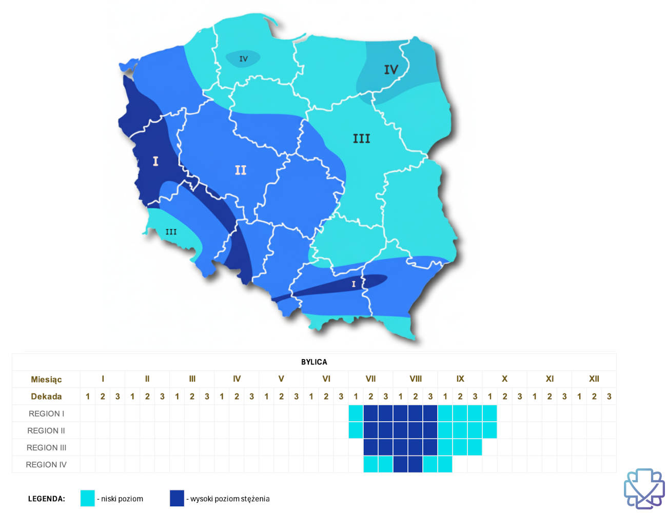 Kiedy pyli bylica - kalendarz pylenia bylicy z podziałem na regiony