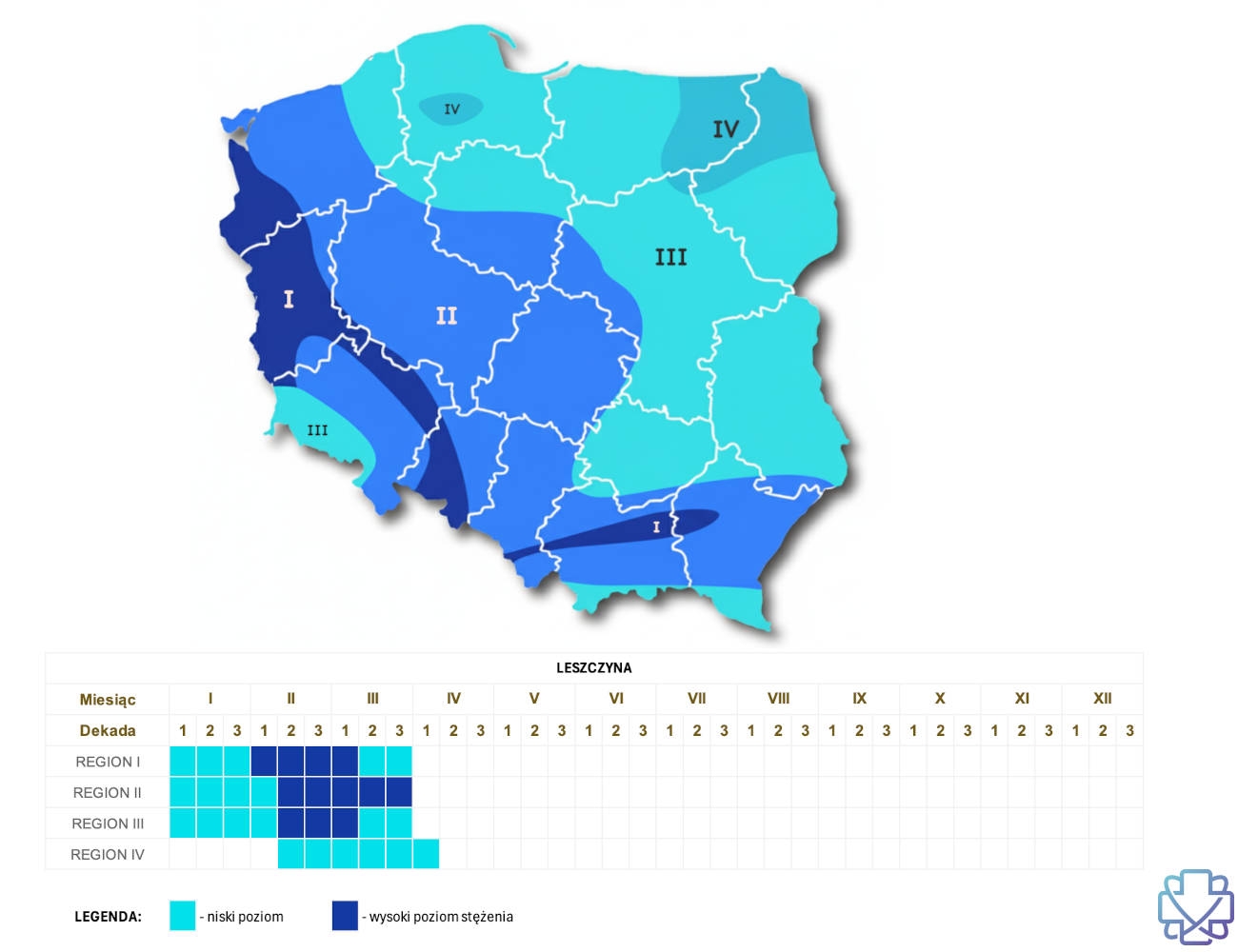 Kiedy pyli leszczyna - kalendarz pylenia leszczyny z podziałem na regiony