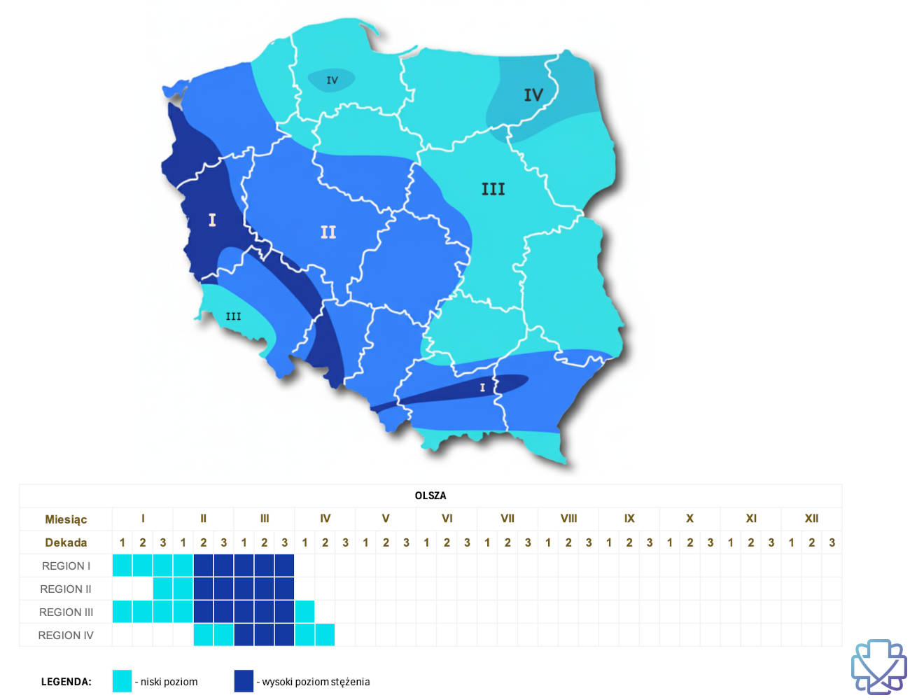 Kiedy pyli olsza (olcha) - kalendarz pylenia olszy z podziałem na regiony