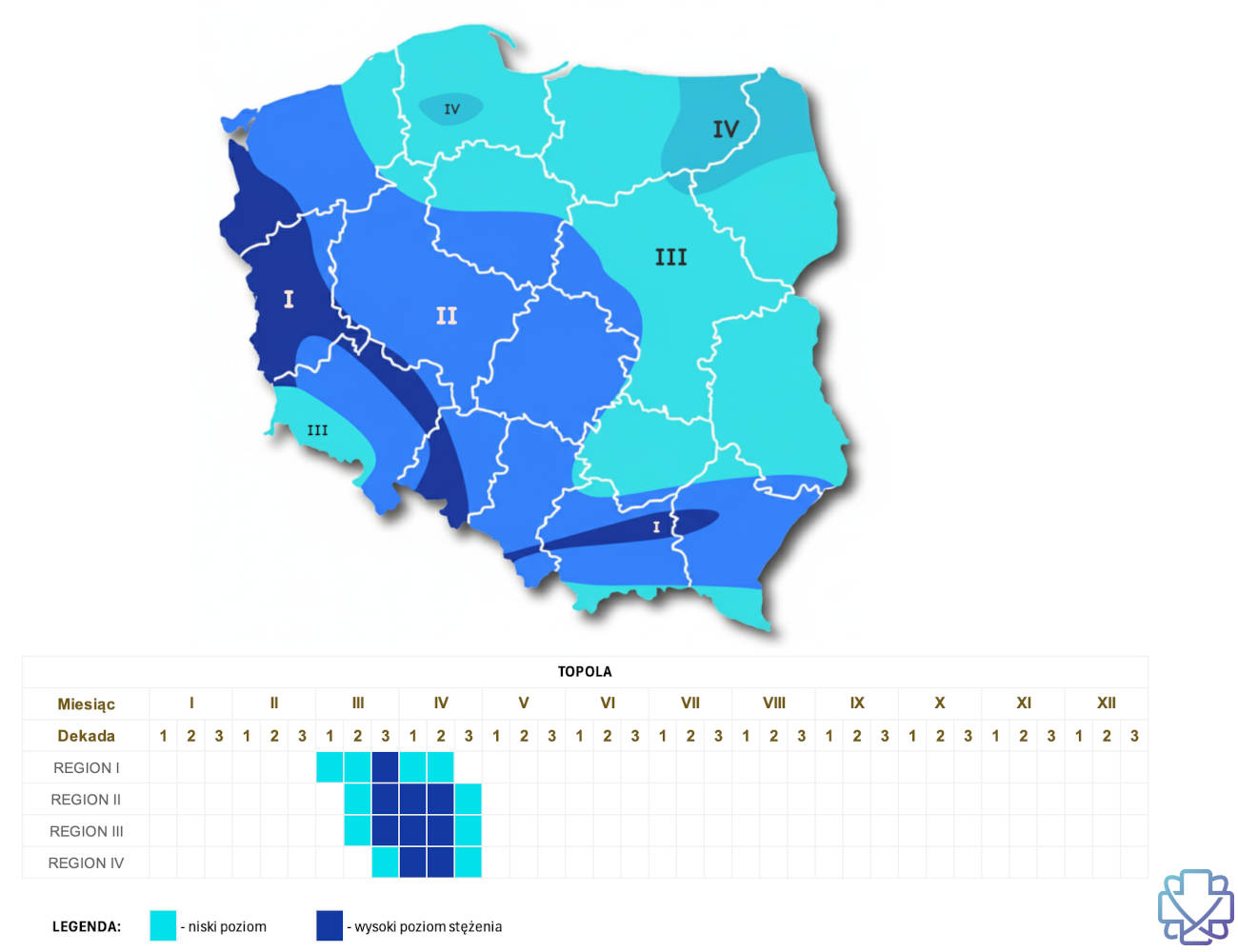 Kiedy pyli topola - kalendarz pylenia topoli z podziałem na regiony