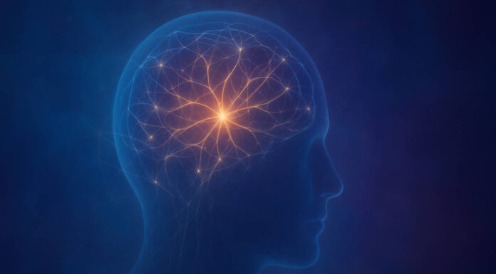 Ilustracja sieci neuronów w mózgu, symbolizujące złożoność procesu i mechanizmów uzależnienia