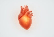 Rysunek serca otoczonego energią, kontekst działania koenzymu q10