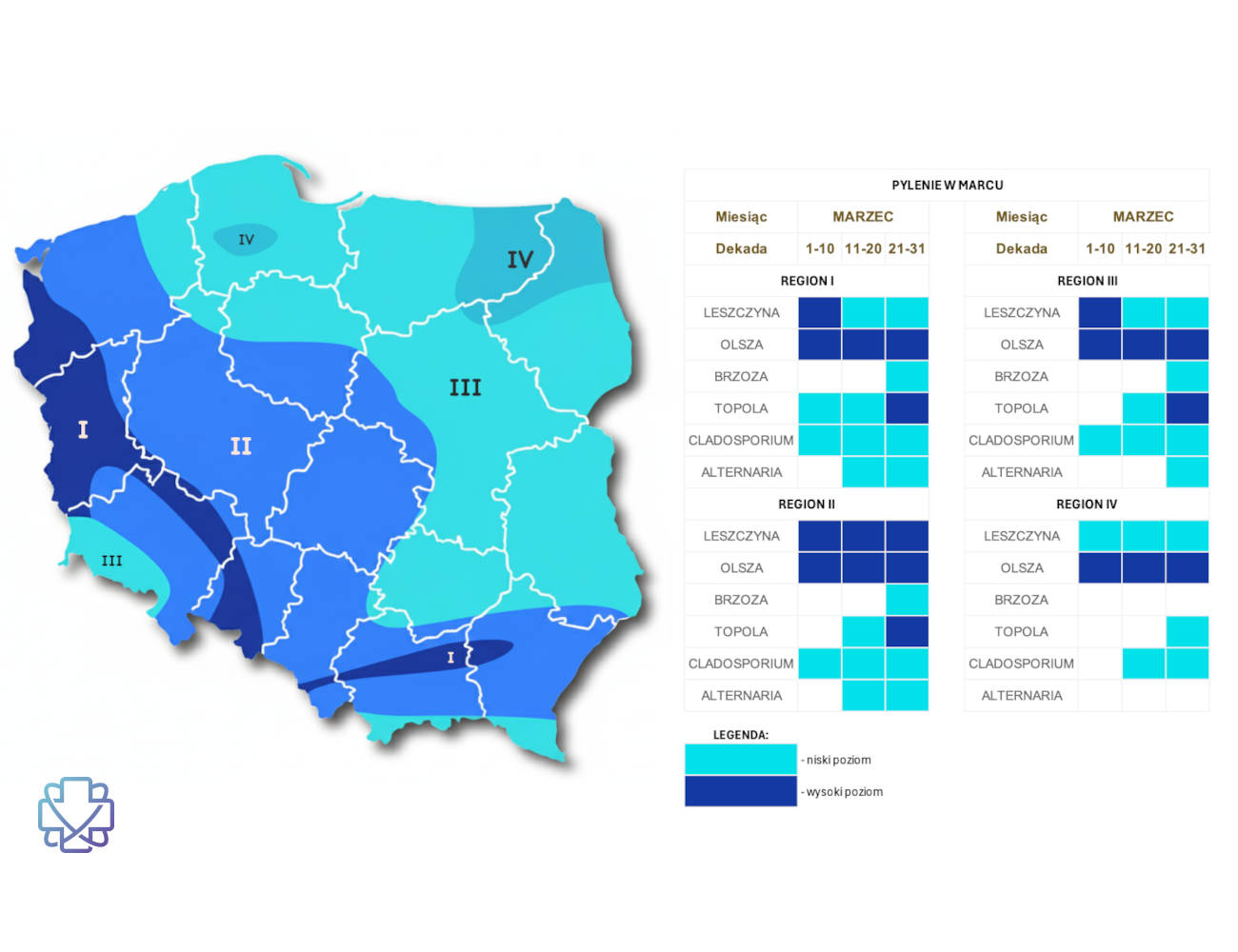 Co pyli w Marcu? Mapa pylenia wraz z regionami i alergenami