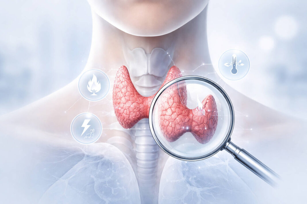 Zbliżenie pod lupą na tarczycę w kontekście hormonu tyroksyny