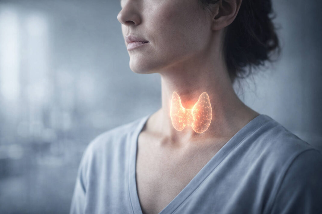 Kobieta z oznaczoną na pomarańczowo tarczycą w kontekście hasnimoto