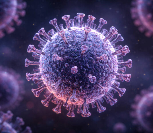 Wirus epsteina-barr w ujęciu "pod mikroskopem"