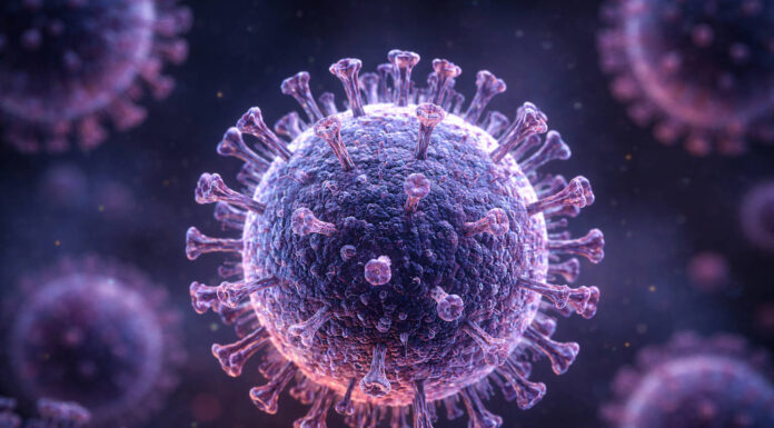 Wirus epsteina-barr w ujęciu "pod mikroskopem"