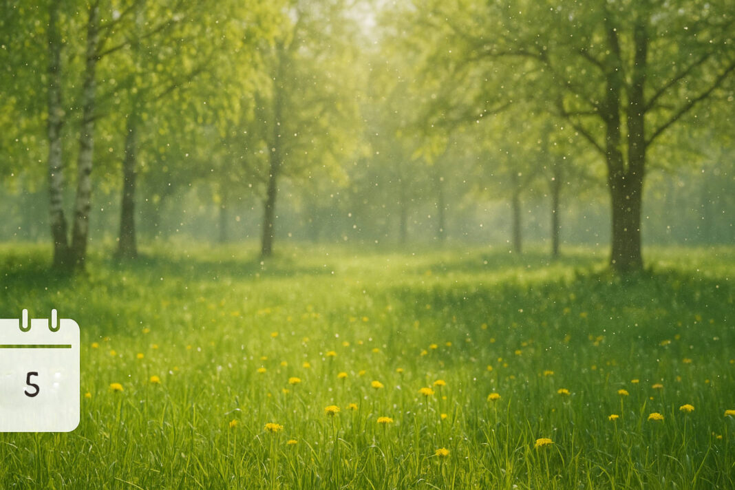 co-pyli-w-maju Grafika polany w maju i kalendarz alergika z liczbą 5