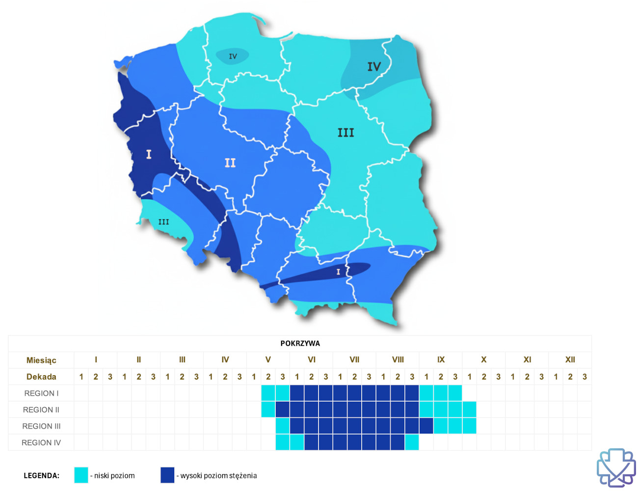 Kalendarz i mapa pylenia Pokrzywy w Polsce