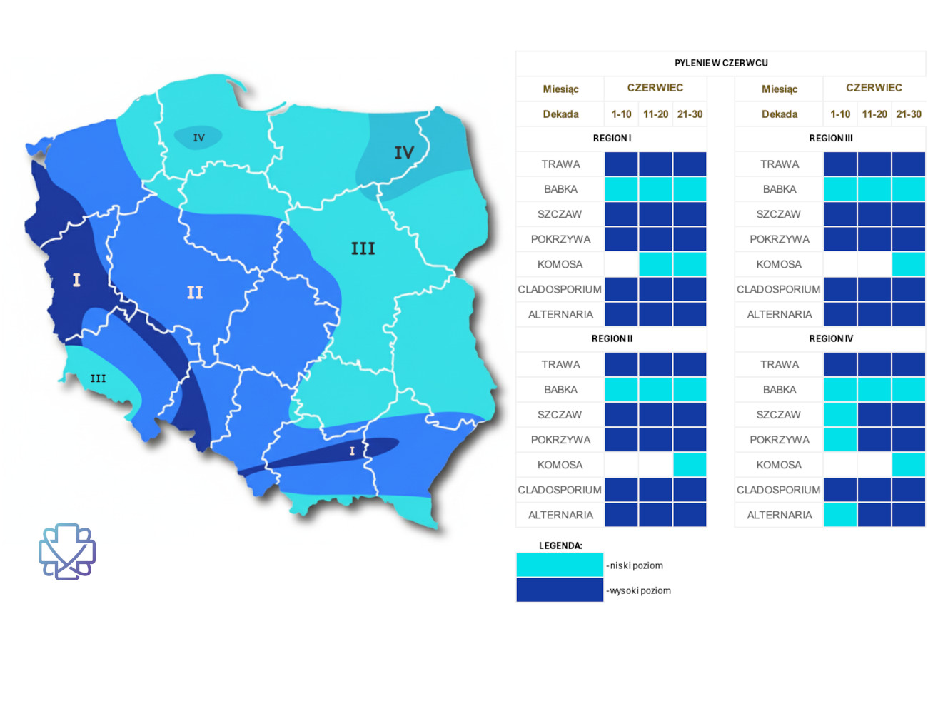 Kalendarz i mapa alergika - co pyli w czerwcu?