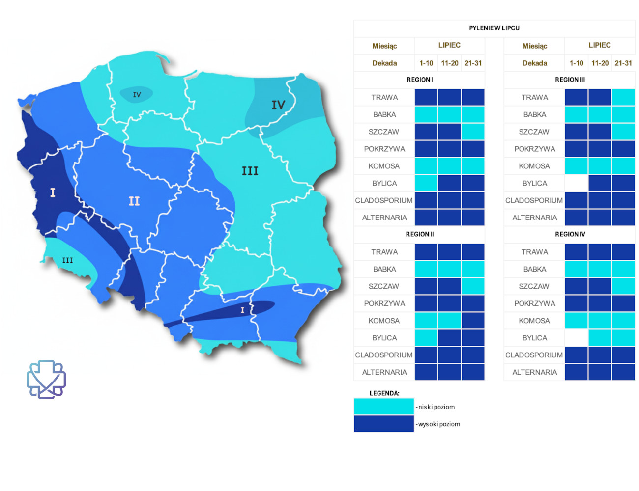 Kalendarz i mapa alergika - co pyli w lipcu?