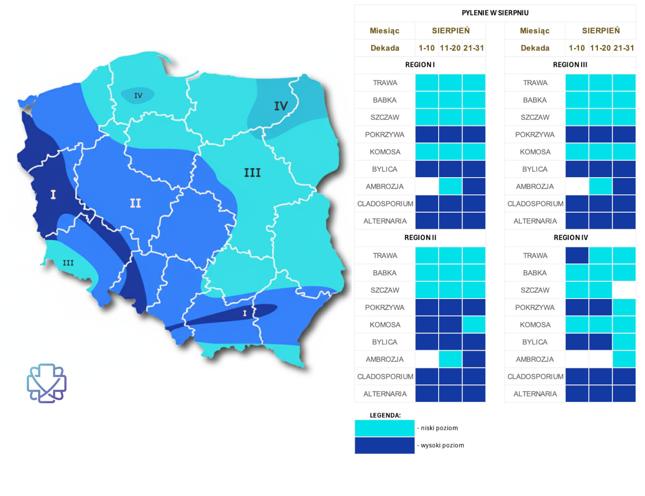 Kalendarz i mapa alergika - co pyli w sierpniu?