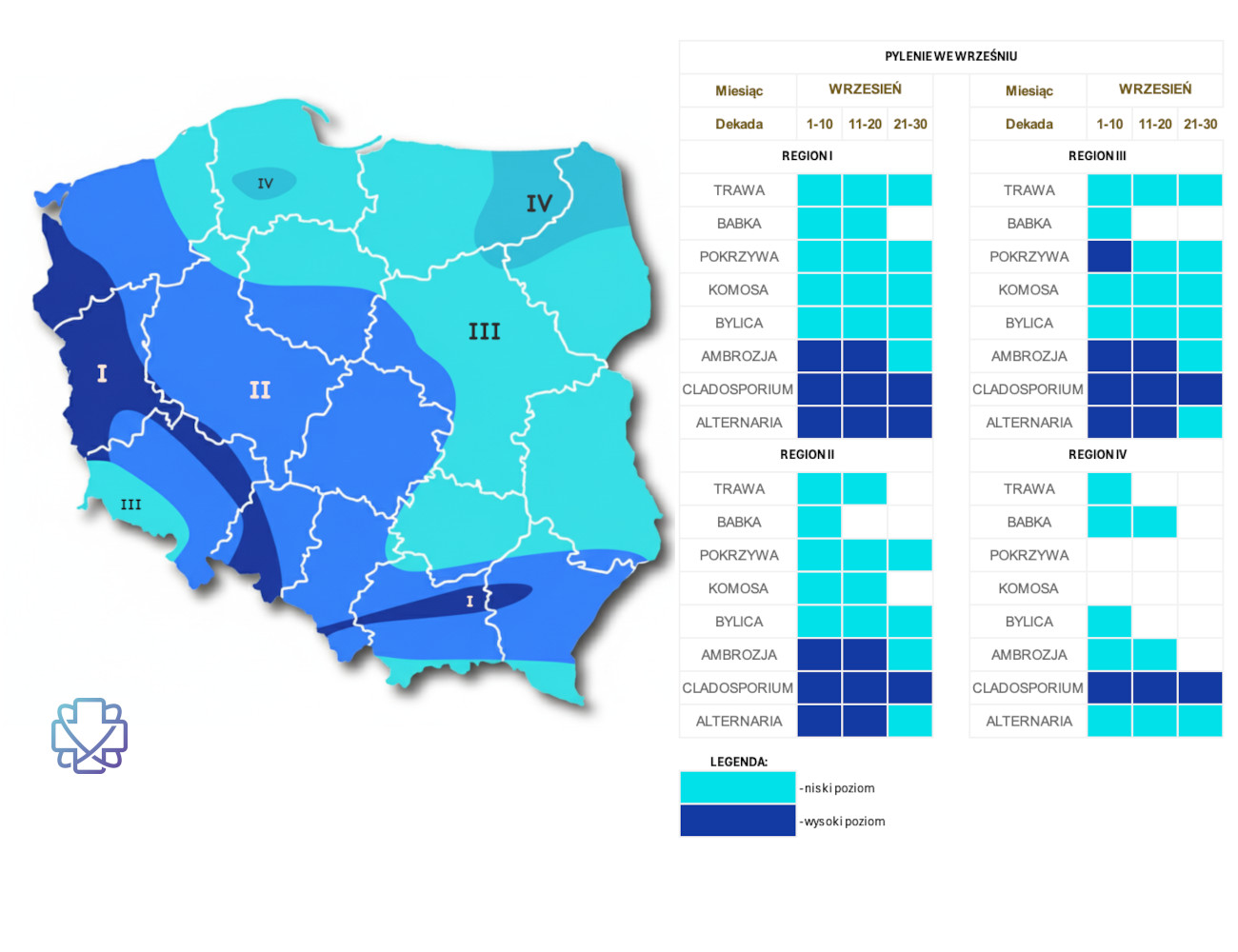 Kalendarz i mapa alergika - co pyli we wrześniu?