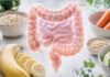 Wizualizacja jelita i zdrowe polecane produkty w diecie na zespół jelita wrażliwego IBS
