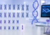 Chromosomy i genetyka, w kontekście zespołu turnera