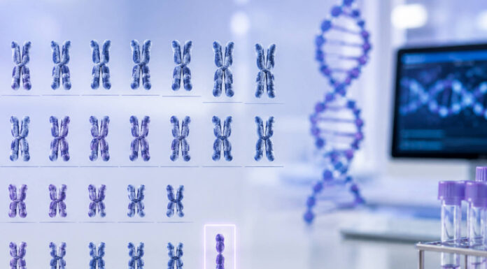 Chromosomy i genetyka, w kontekście zespołu turnera